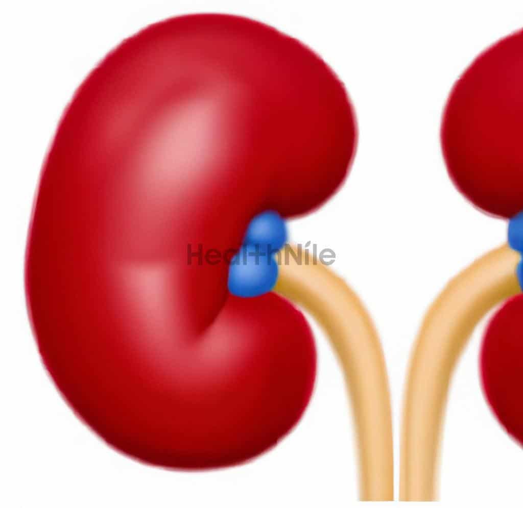 Lower risk of kidney disease