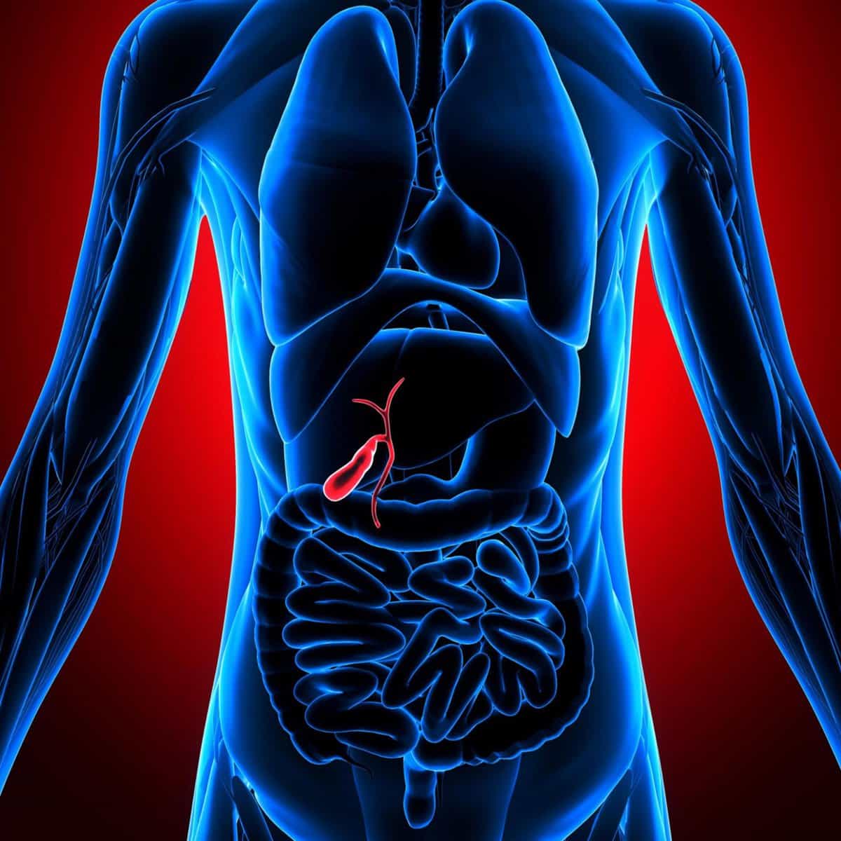 Rupture of Gallbladder: Symptoms, Causes & Diagnosis - HealthNile.com